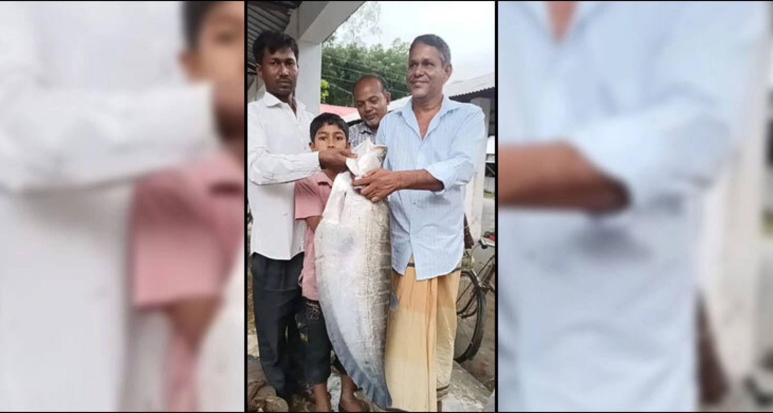 ৭ কেজি ওজনের চিতল মাছ ধরা পড়লো বড়শিতে