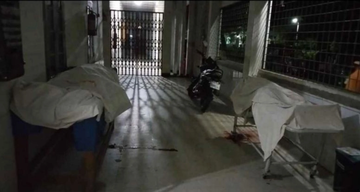 আপন দুই ভাতিজিকে কুপিয়ে হত্যা করল চাচা