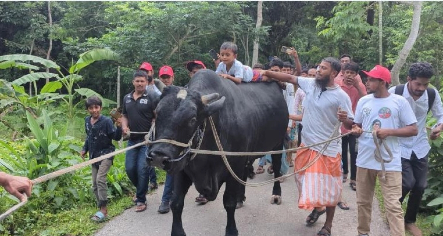 একটি বিরল প্রজাতির ষাঁড় নিয়ে খালেদা জিয়ার বাসভবনের পথে কৃষক সোহাগ