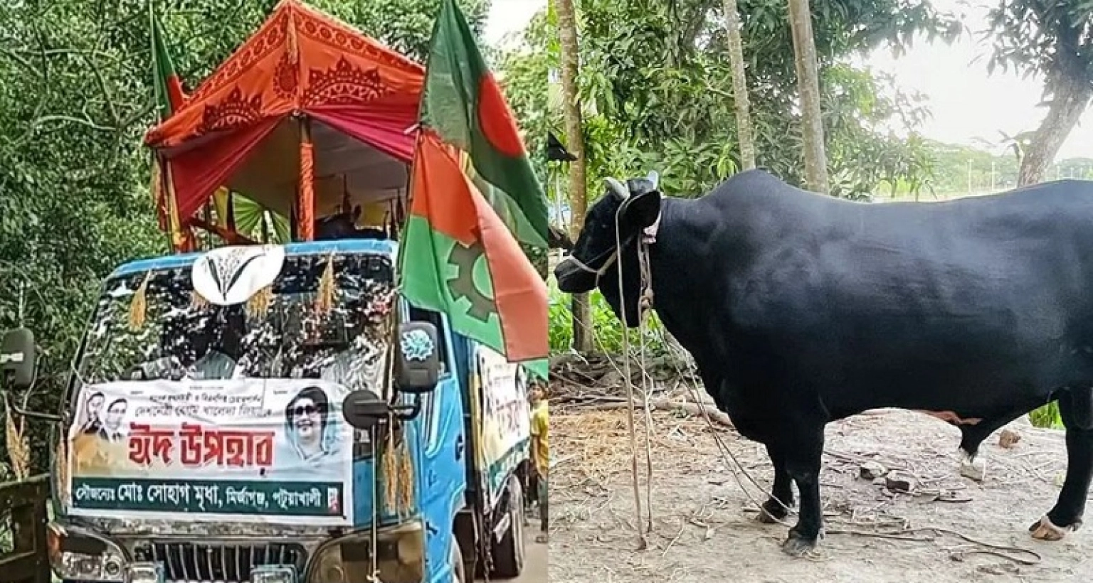 ভক্ত সোহাগের ‘কালো মানিক’ গ্রহণ করেননি খালেদা জিয়া
