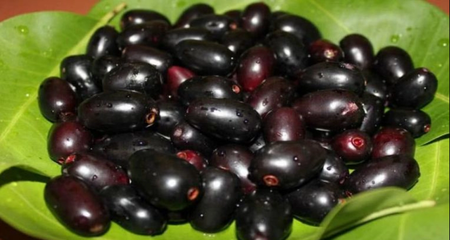 যে ৫টি ভুল থেকে সাবধান জাম খাওয়ার সময়