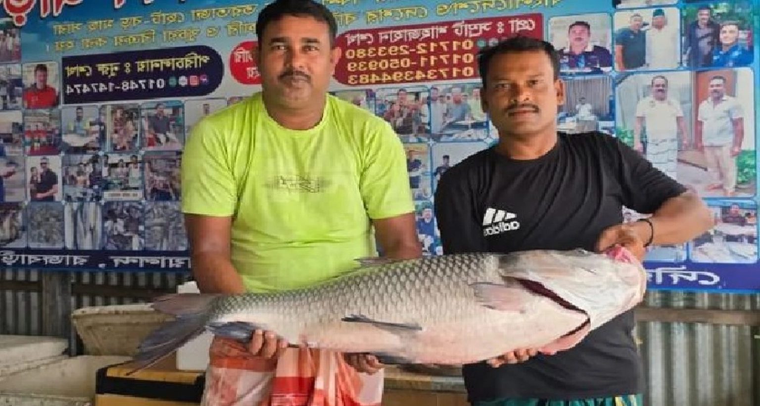 ৪৬ হাজার ২০০ টাকায় বিক্রি হলো বিশাল কাতল মাছটি