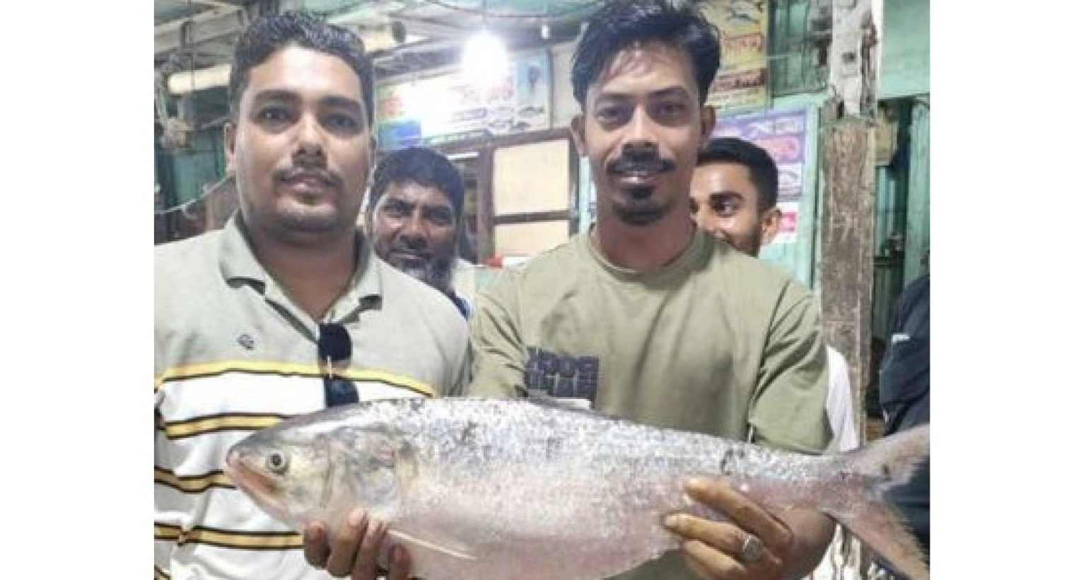 ১৩ হাজার ৩৮৭ টাকায় বিক্রি হলো একটি ইলিশ