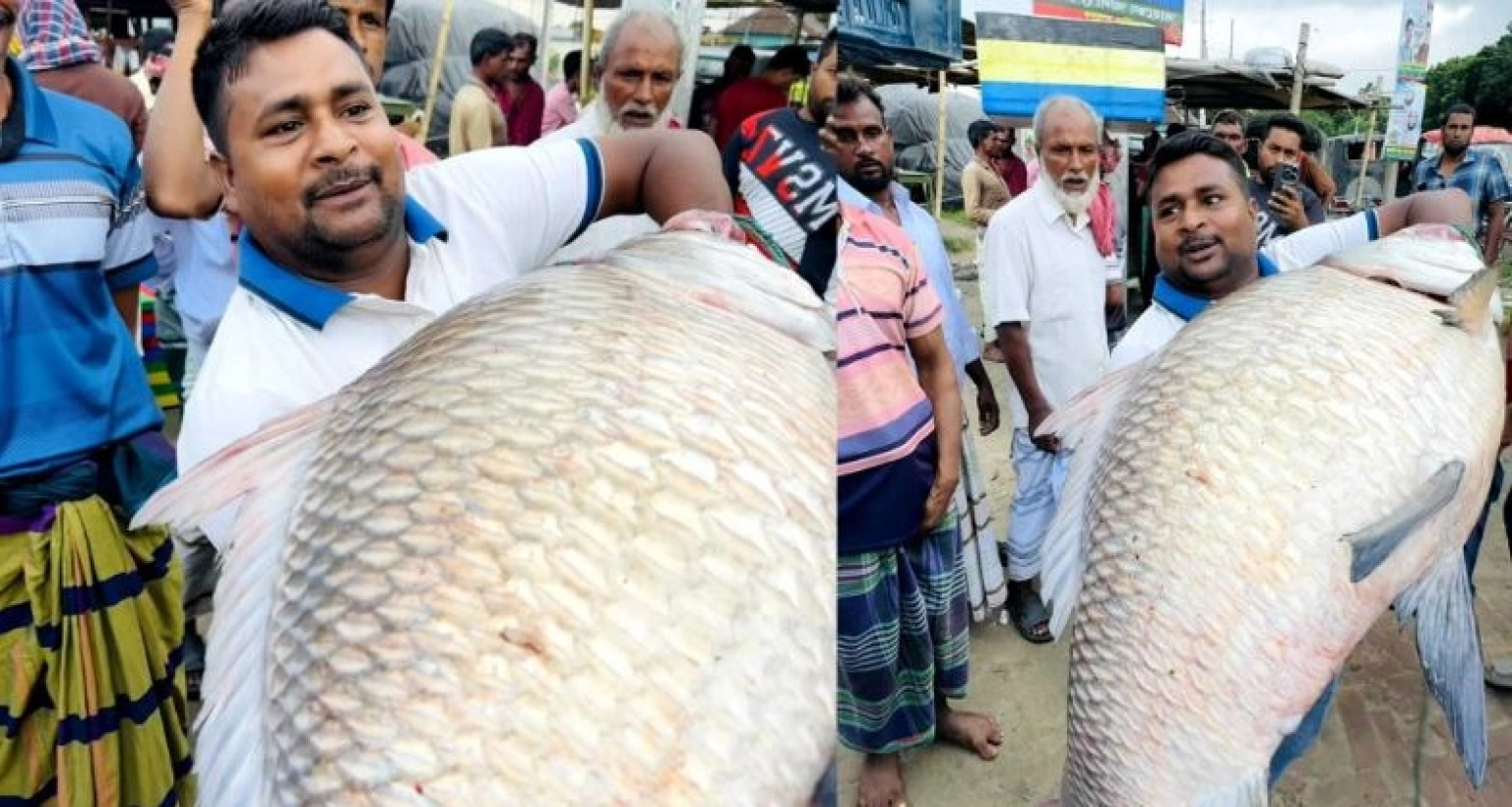 ৩৯ হাজার টাকায় বিক্রি হলো এই কাতল মাছটি!
