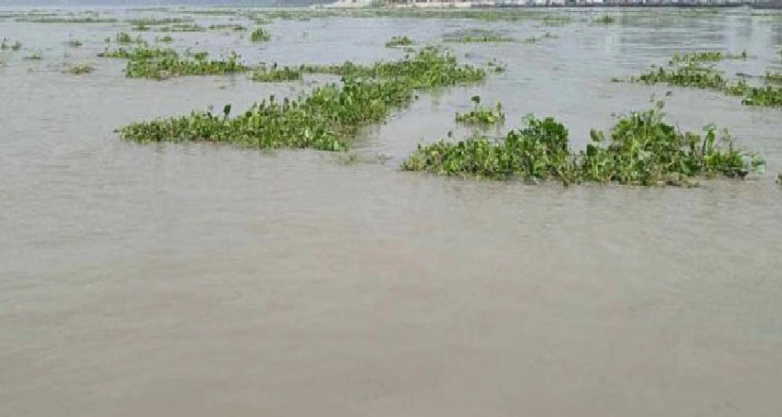 হঠাৎ হু হু করে বাড়ছে যমুনার পানি!