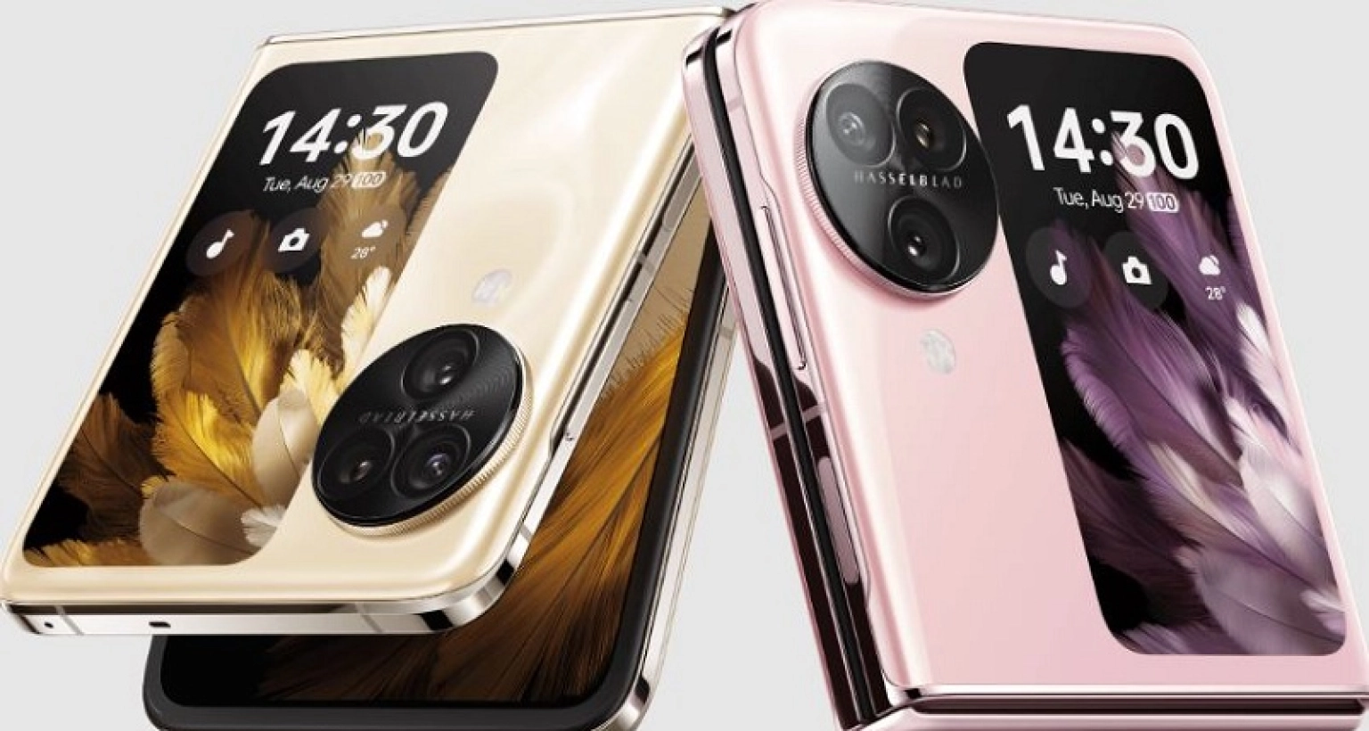 জানেন বাংলাদেশে কত দাম Oppo Find N3 Flip এর?