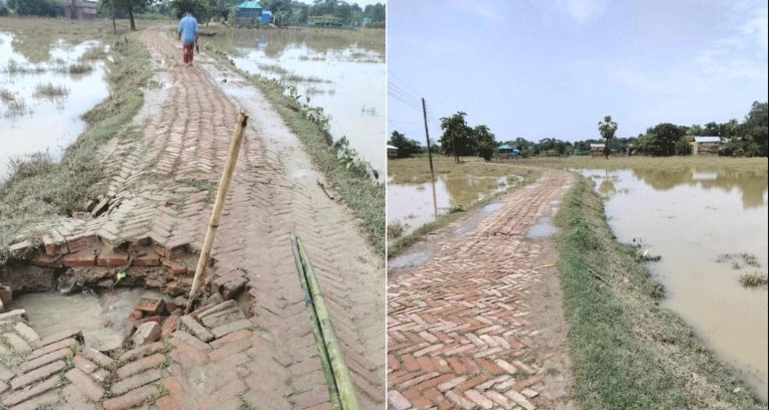  টানা ৫ দিন পর আজ সূর্যের দেখা, বন্যা পরিস্থিতির কিছুটা উন্নতি