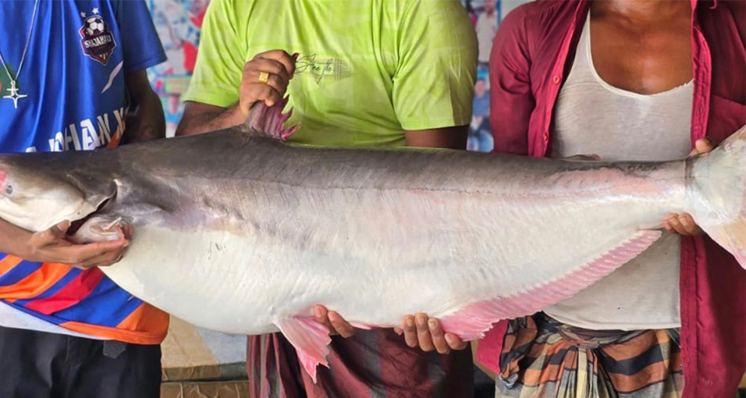 ৬০ হাজার টাকায় বিক্রি হলো এক পাঙ্গাশ
