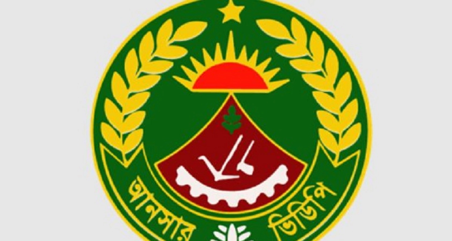 নিয়োগ বিজ্ঞপ্তি প্রকাশ করেছে আনসার-ভিডিপি