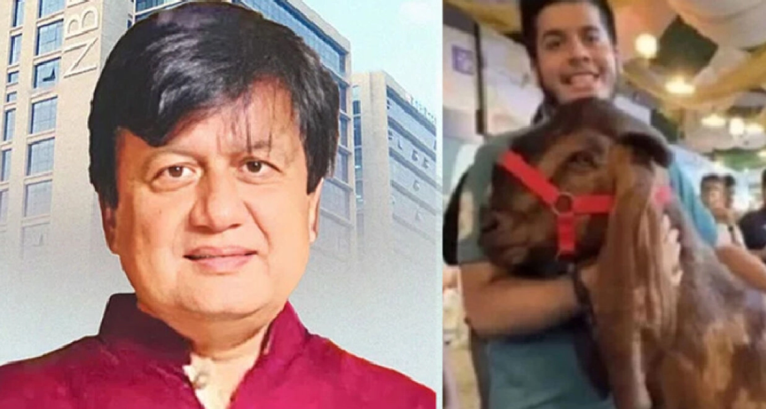 আদালতে কান্নায় ভেঙে পড়লেন ছাগলকাণ্ডে আলোচিত মতিউর, মেলেনি জামিন