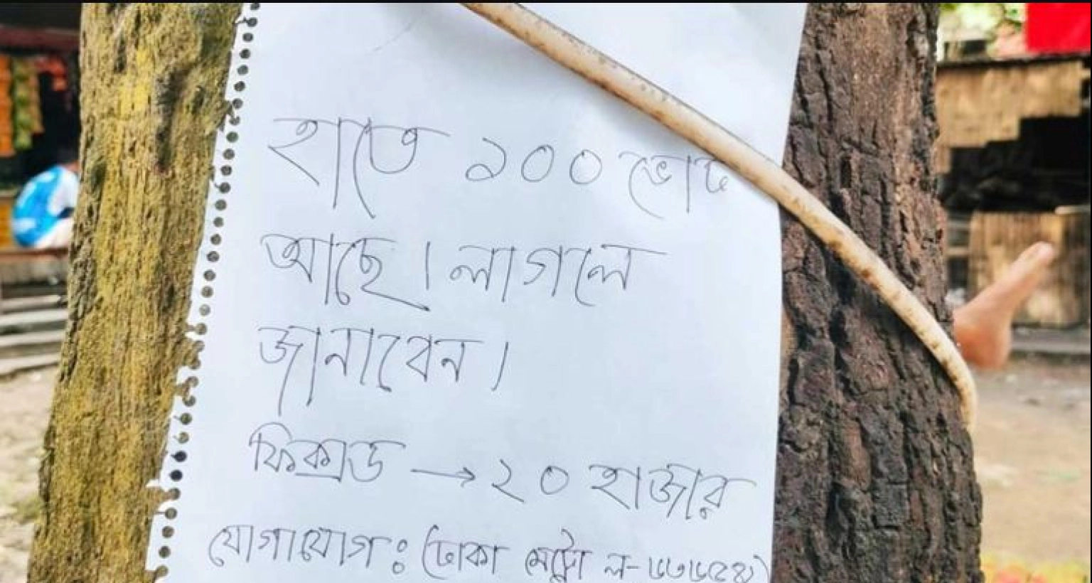 গাছে ঝোলানো এক অভিনব ‘ভোট বিক্রির’ বিজ্ঞাপন!