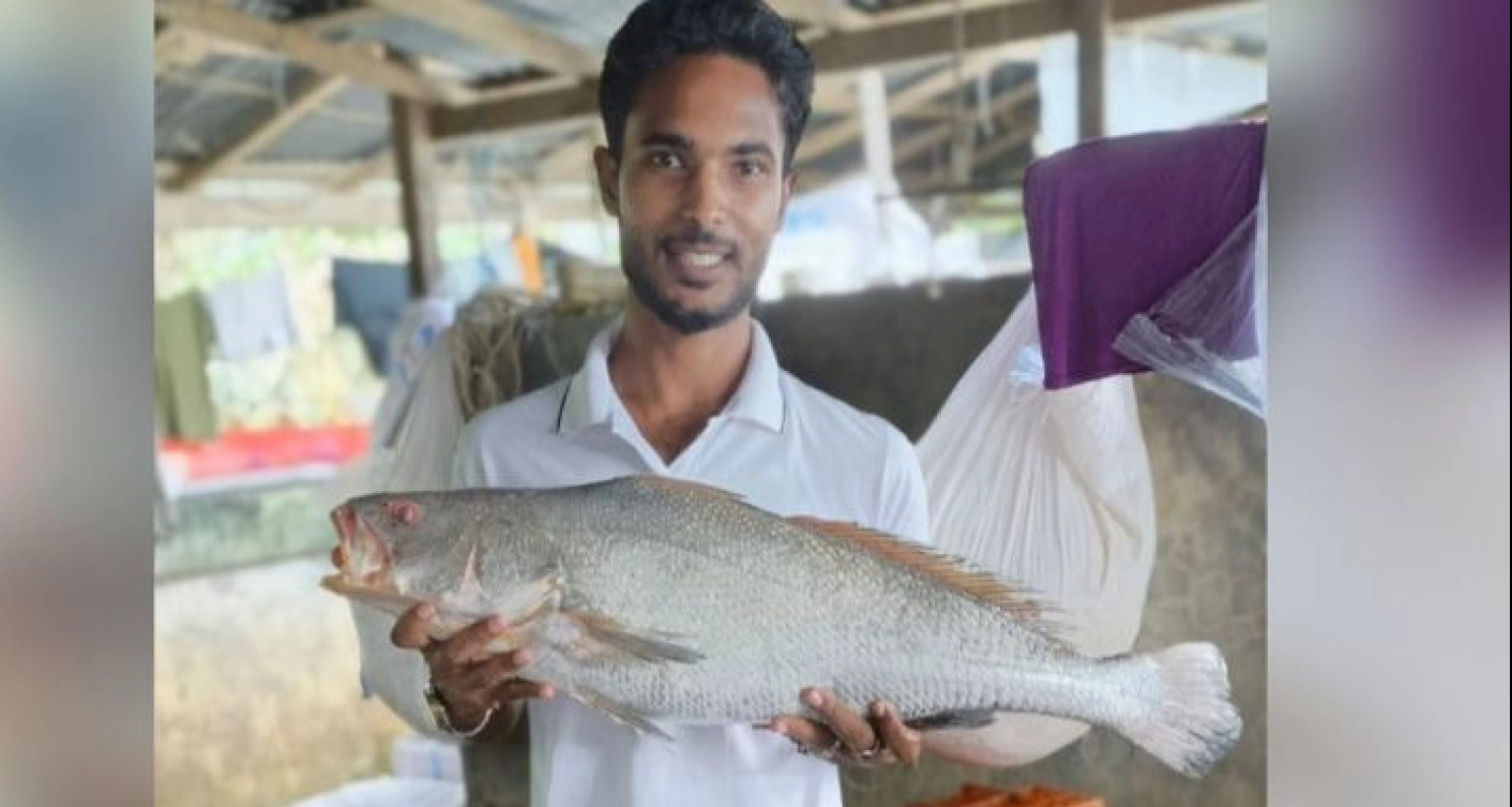 ৮০ হাজার টাকায় বিক্রি হলো এই ‘ব্ল্যাক ডায়মন্ড’ মাছটি!