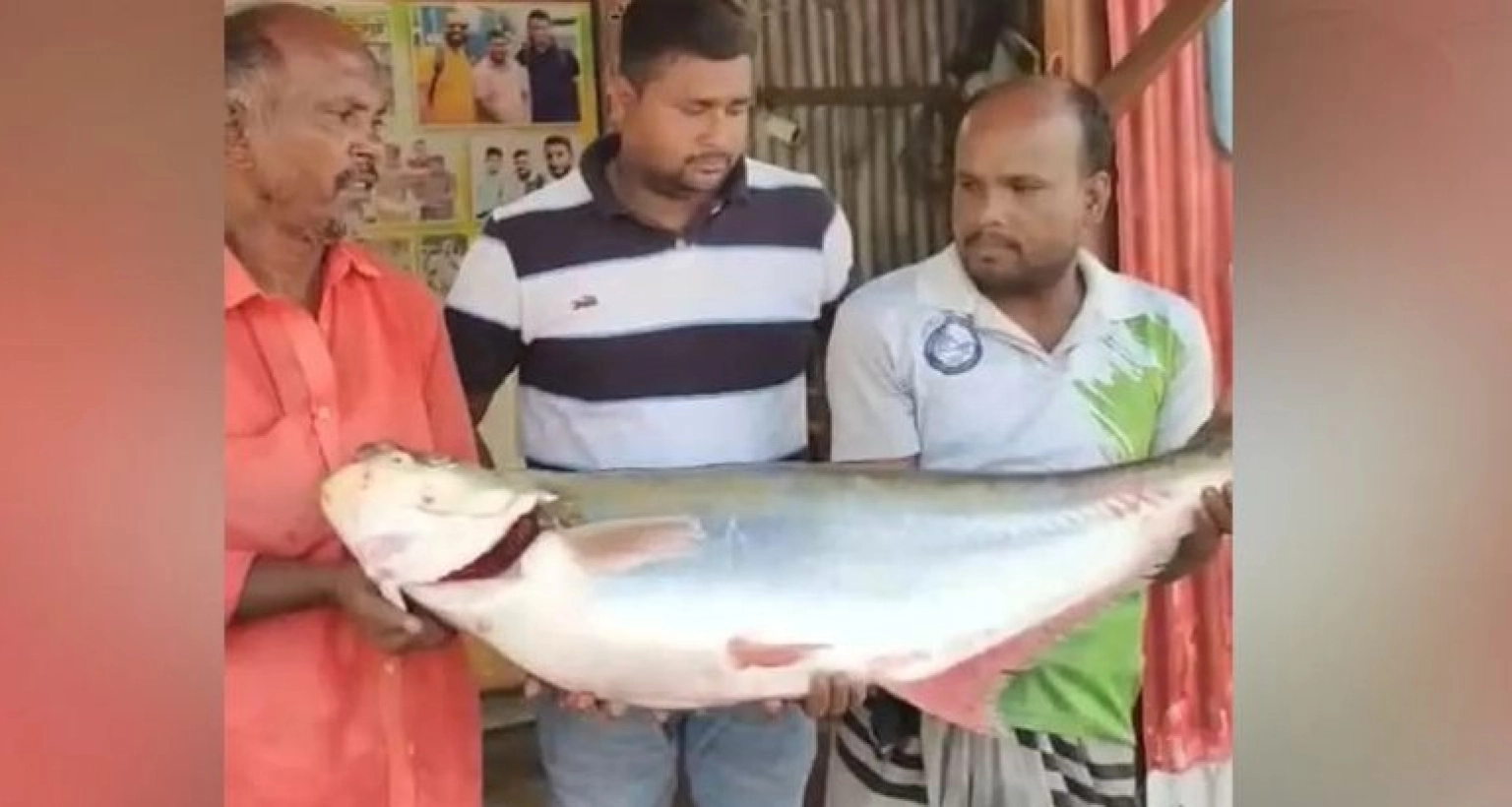  ৫৯ হাজার টাকায় বিক্রি হলো একটি ‘ঢাঁই মাছ’