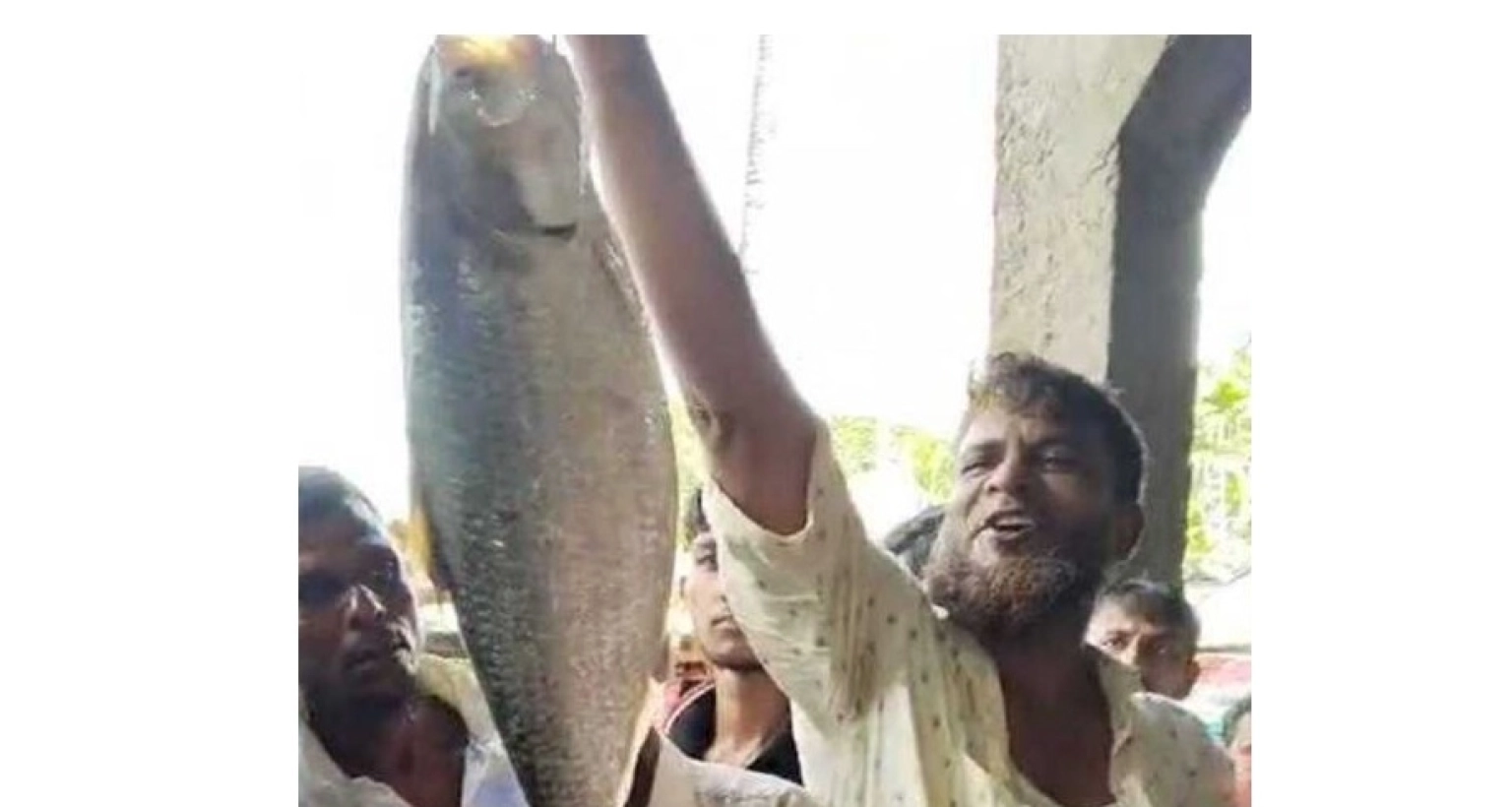 ১০ হাজার টাকায় বিক্রি হলো একটি ইলিশ