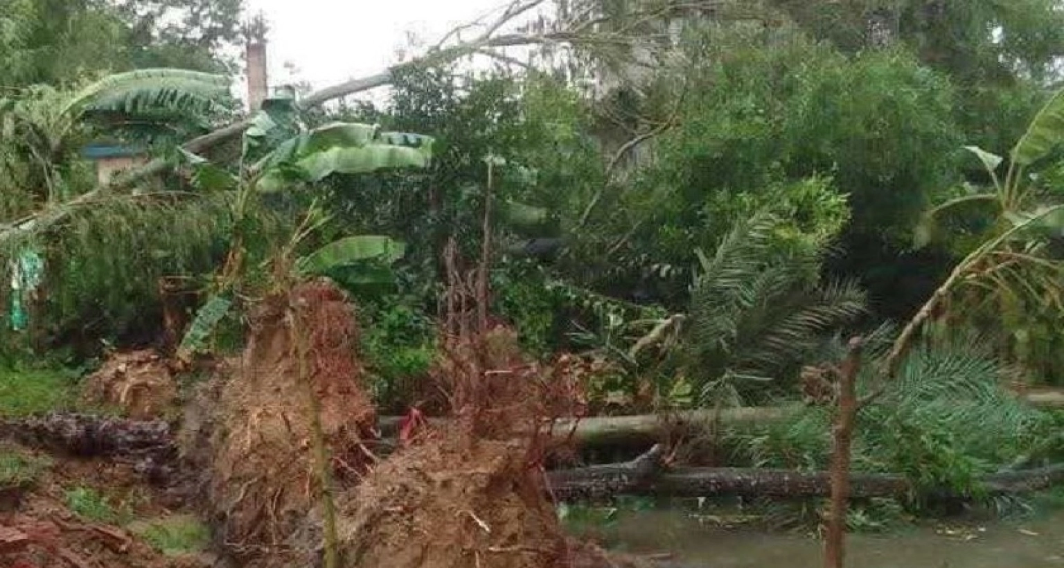 মুহূর্তের ঝড়েই লণ্ডভণ্ড যে জেলা!