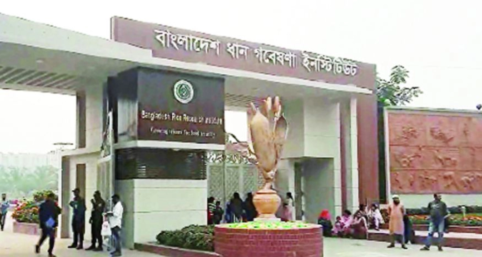 চাকরির সুযোগ ধান গবেষণা ইনস্টিটিউটে, আবেদন ৩০ অক্টোবর পর্যন্ত