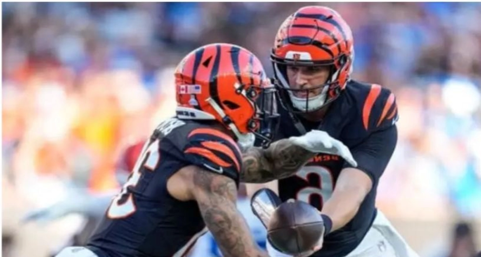 The Detroit Lions defeated the Bengals 37-24 in a Week 5 NFL matchup