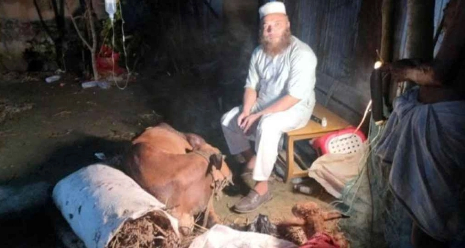সিজার-অপারেশনের-মাধ্যমে-গাভীর-বাচ্চা-প্রসব