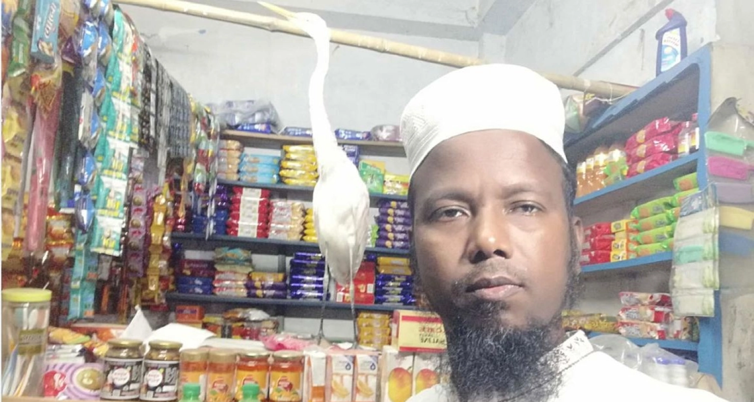 অবমুক্তির ২ দিন পর প্রিয় সঙ্গী হেমায়েতের কাছে আবার ফিরে এলো সেই বক!  অবমুক্তির ২ দিন পর প্রিয় সঙ্গী হেমায়েতের কাছে আবার ফিরে এলো সেই বক!