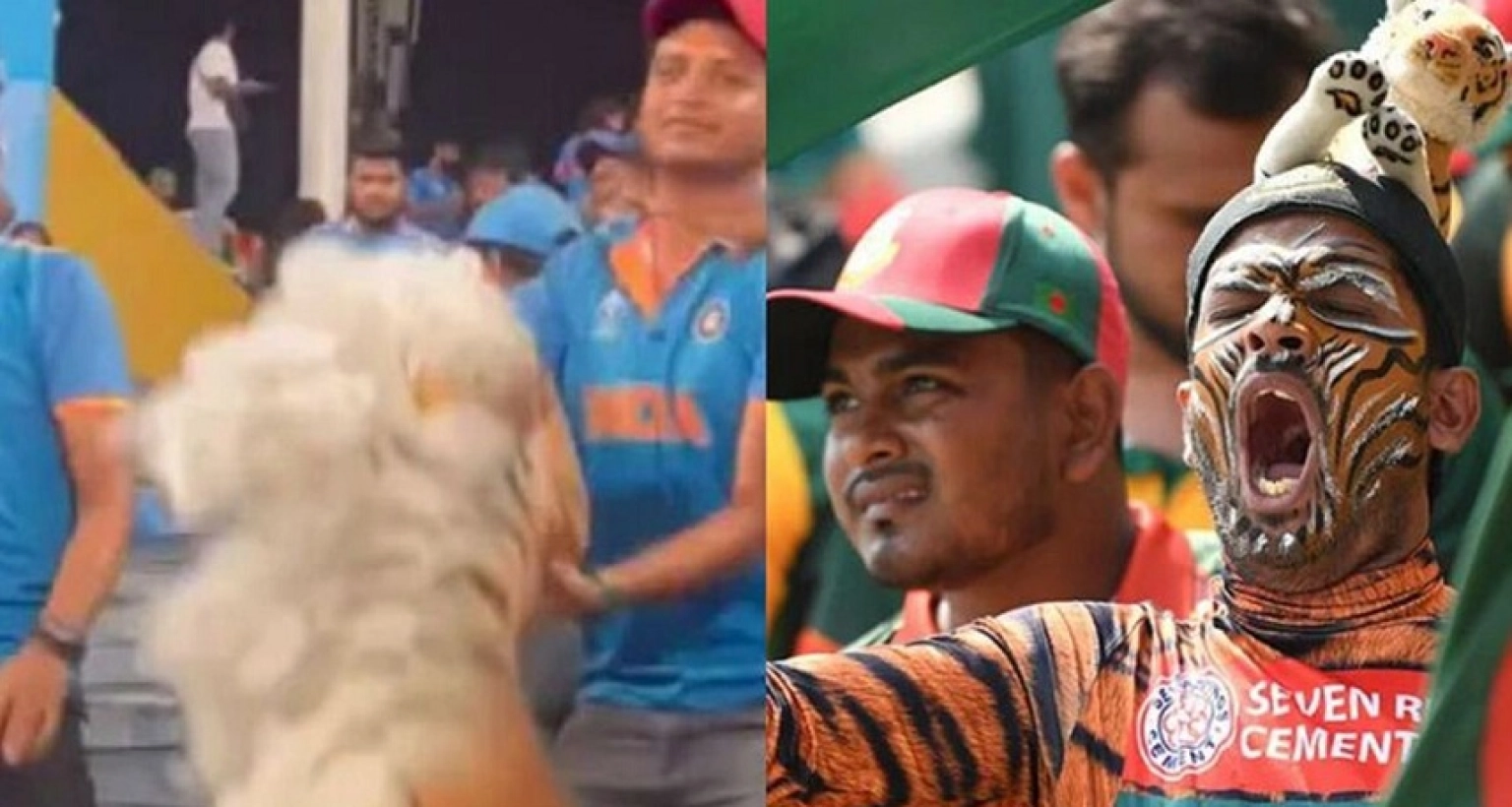 বাংলাদেশ নিয়ে পরিকল্পনা ফাঁস! সময় ছিল মাত্র এক ঘণ্টা