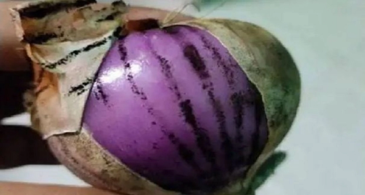 আতঙ্ক ছড়িয়ে পড়েছে কালো দাগযুক্ত পেঁয়াজ নিয়ে! এটা কী খাওয়া যাবে?