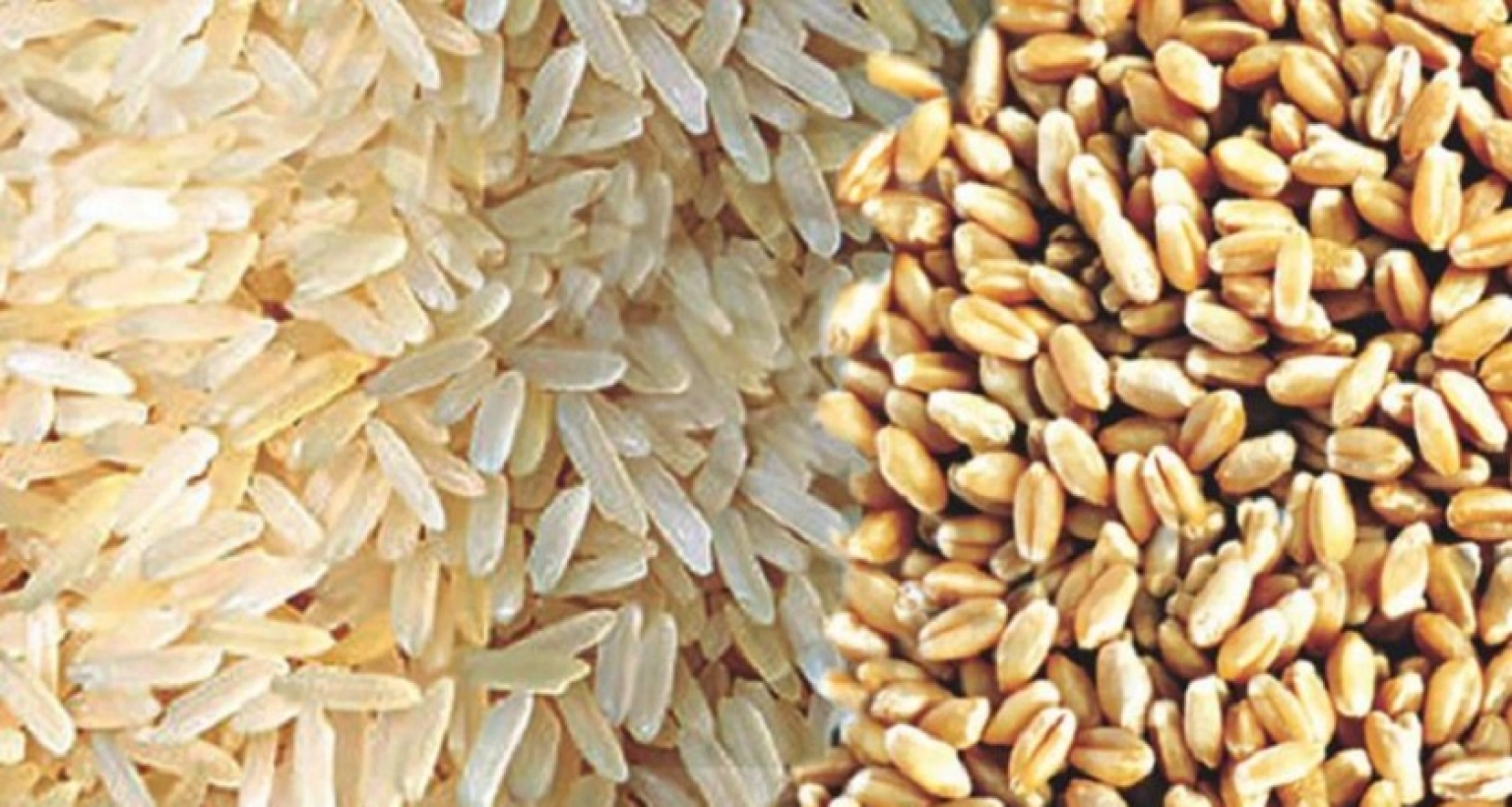 কমলো চাল ও গমের দাম