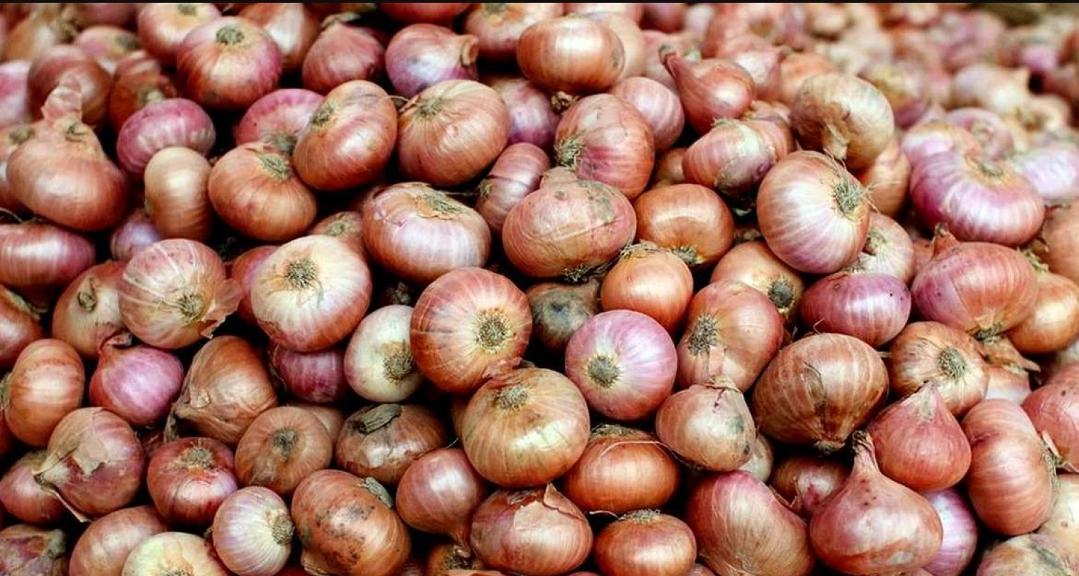 বাংলাদেশ না কেনায় কাঁদছে ভারতের পেঁয়াজ রপ্তানিকারকরা!