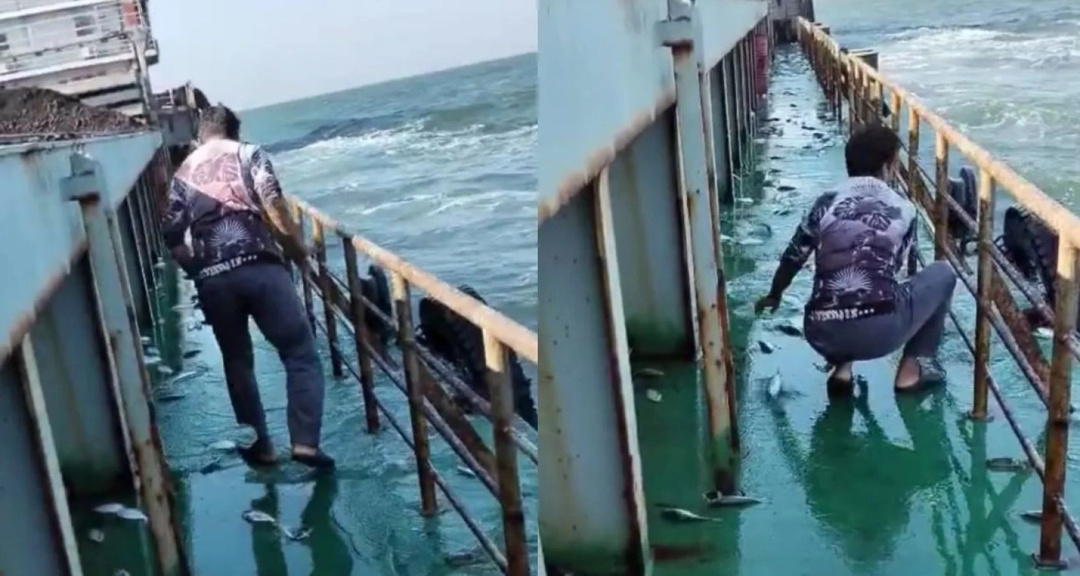 ঘটেছে আশ্চর্যজনক এক ঘটনা, জাহাজে লাফিয়ে উঠল ৩ মণ ইলিশ!