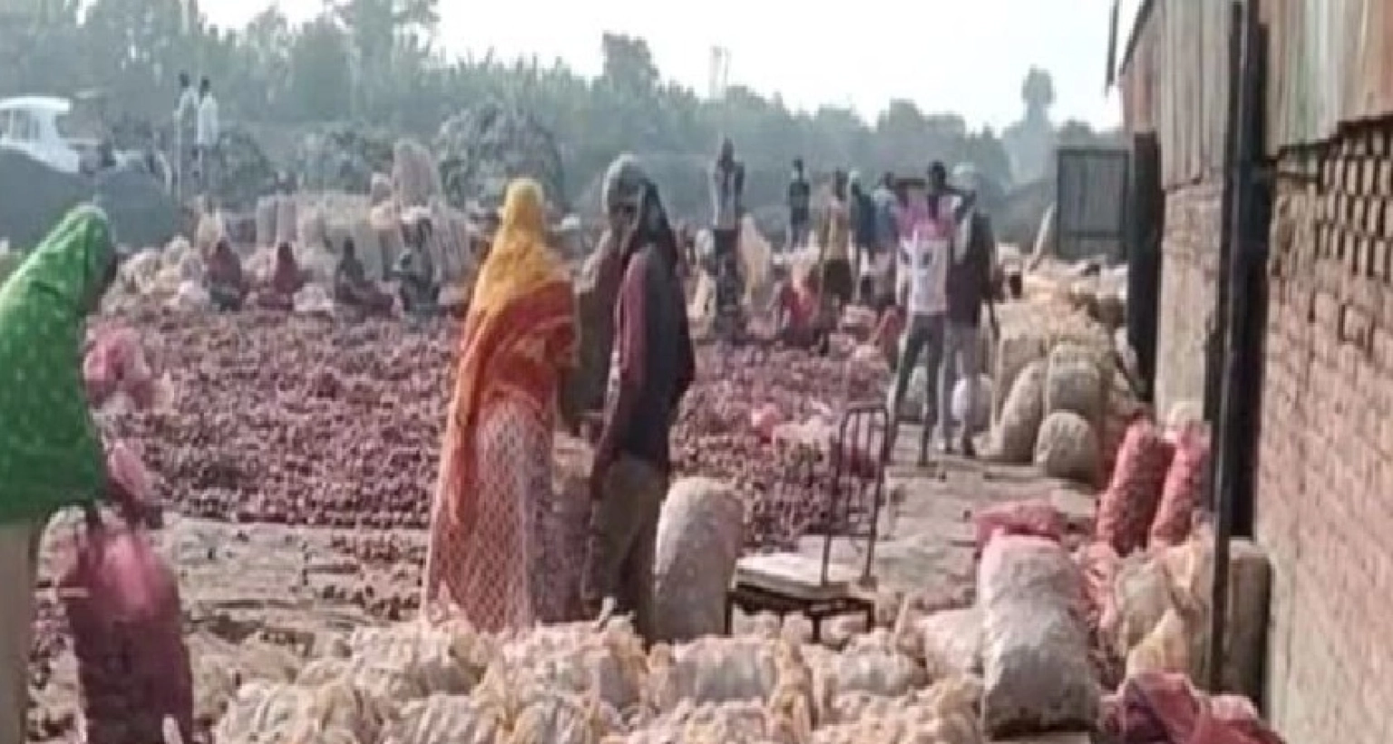 বাংলাদেশে রপ্তানি বন্ধ, সীমান্তে পচছে ৩০ হাজার টন ভারতীয় পেঁয়াজ!