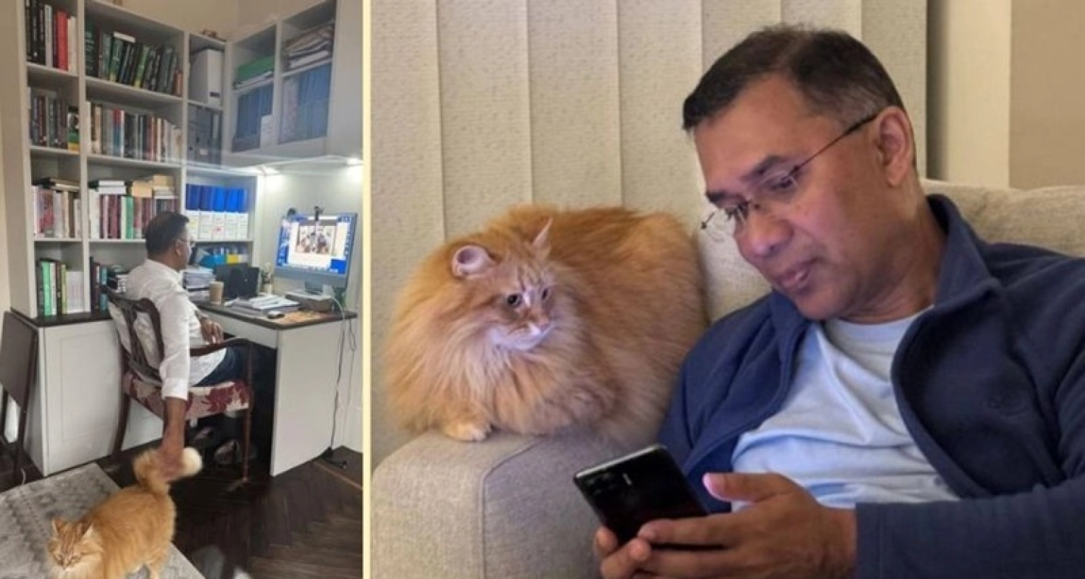 তারেক রহমানের আদরের সেই পোষা বিড়ালও পেল পাসপোর্ট