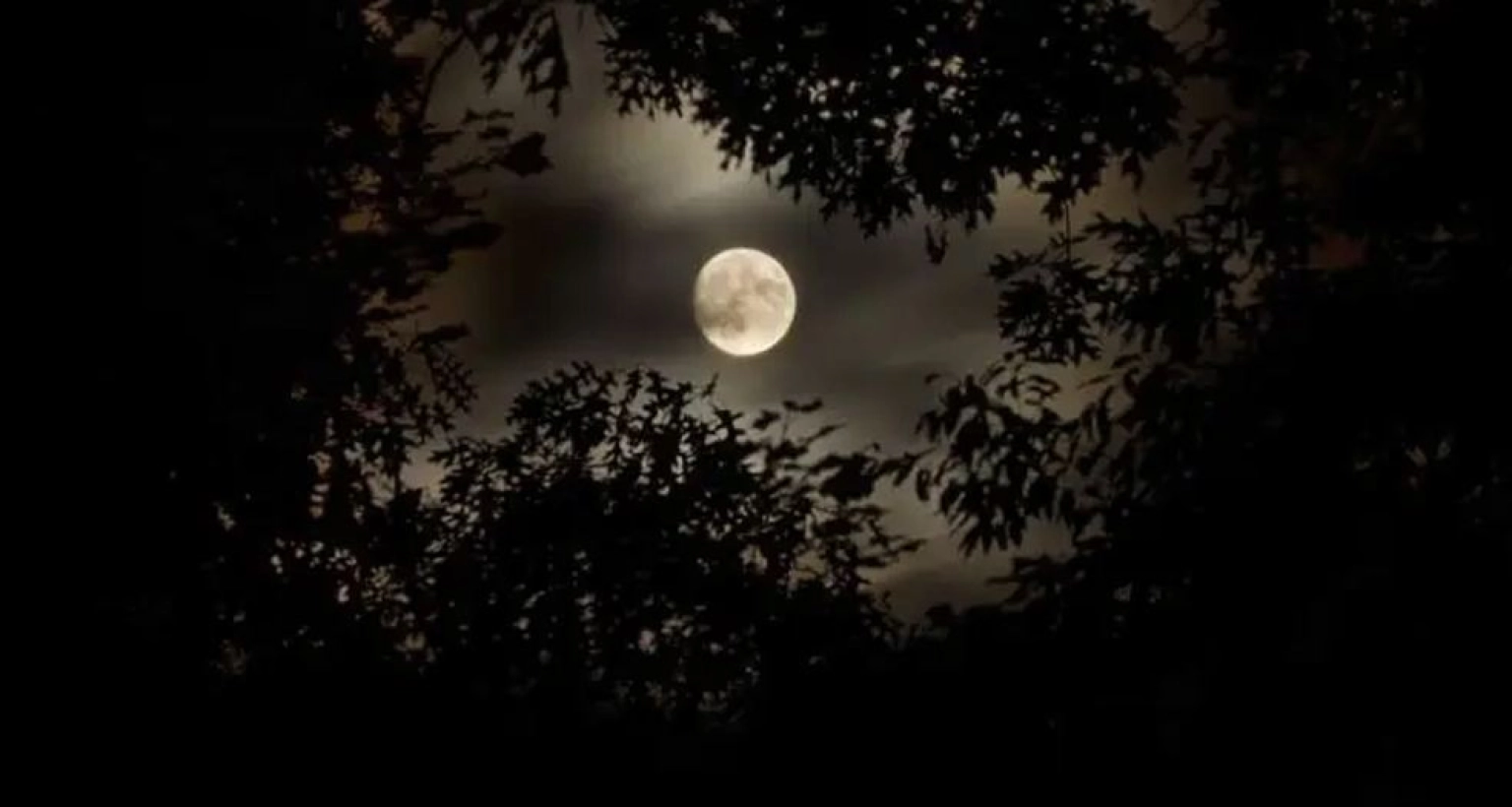 আজ সবচেয়ে দীর্ঘ রাত 