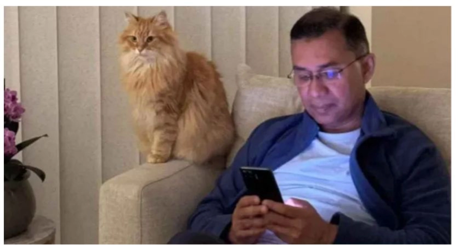 আদরের পোষা বিড়াল ‘জেবু’ও আসছে তারেক রহমানের সঙ্গে