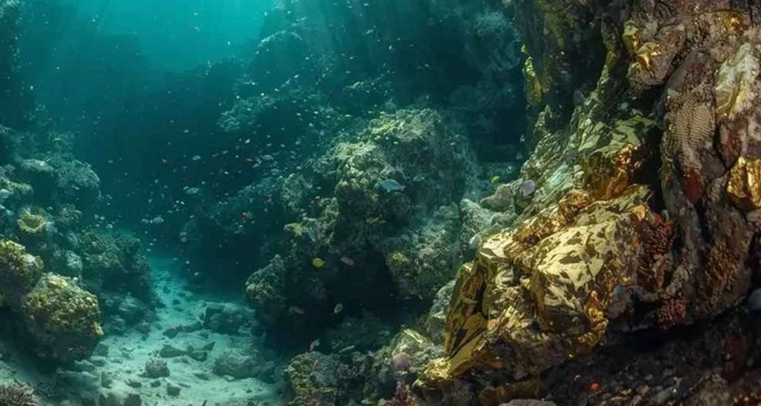 সাগরের নিচে এশিয়ার সবচেয়ে বড় সোনার খনির সন্ধান পেল যে দেশ