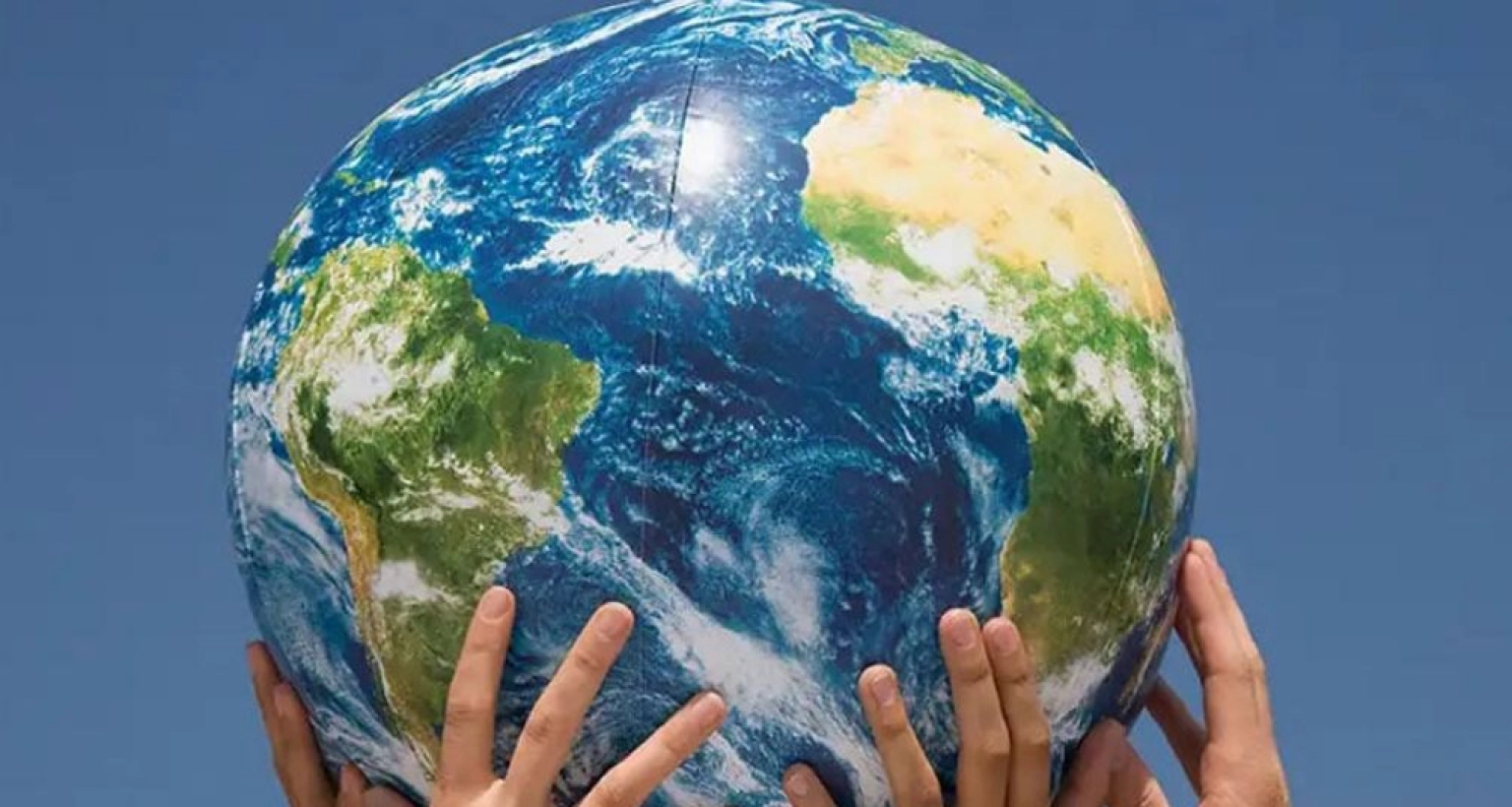 এক জন কতটুকু পাবে পৃথিবীর সব জমি সমান ভাগে ভাগ করে দিলে?