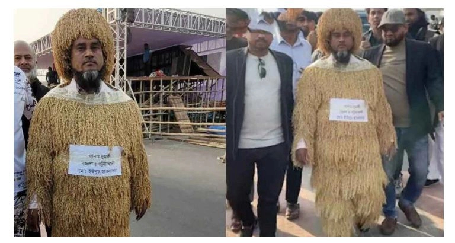 ভাইরাল সারা শরীরে ধানের শীষ দিয়ে তৈরি পোশাক পরা ব্যক্তি