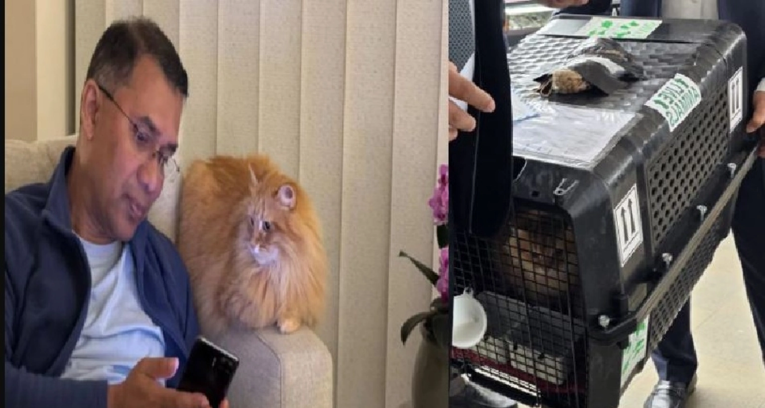 তারেক রহমানের সাথে দেশে এসেছে জেবু