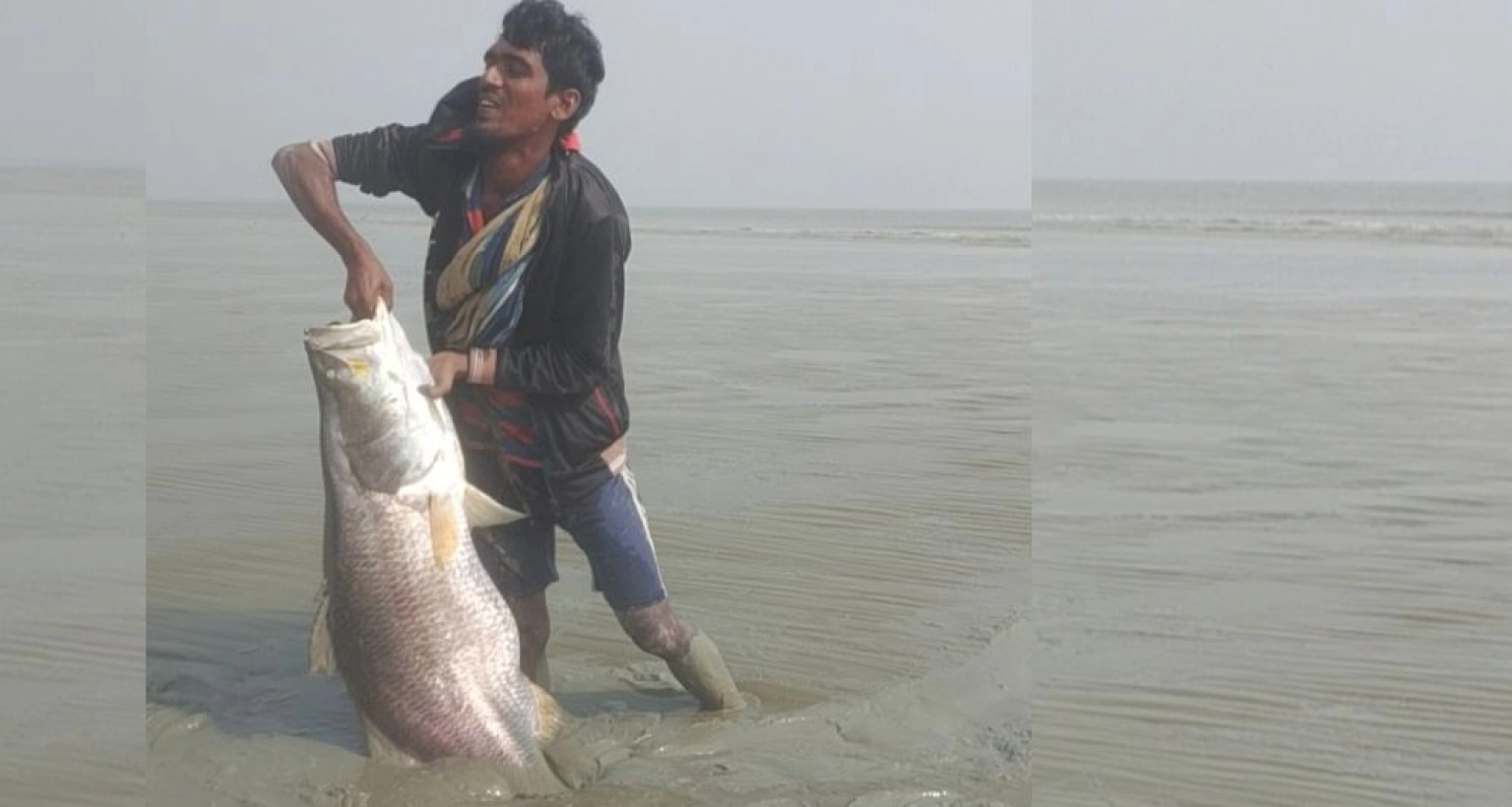 ২৩ কেজি ওজনের কোরাল মাছ ধরা পড়ল জাল ছাড়াই