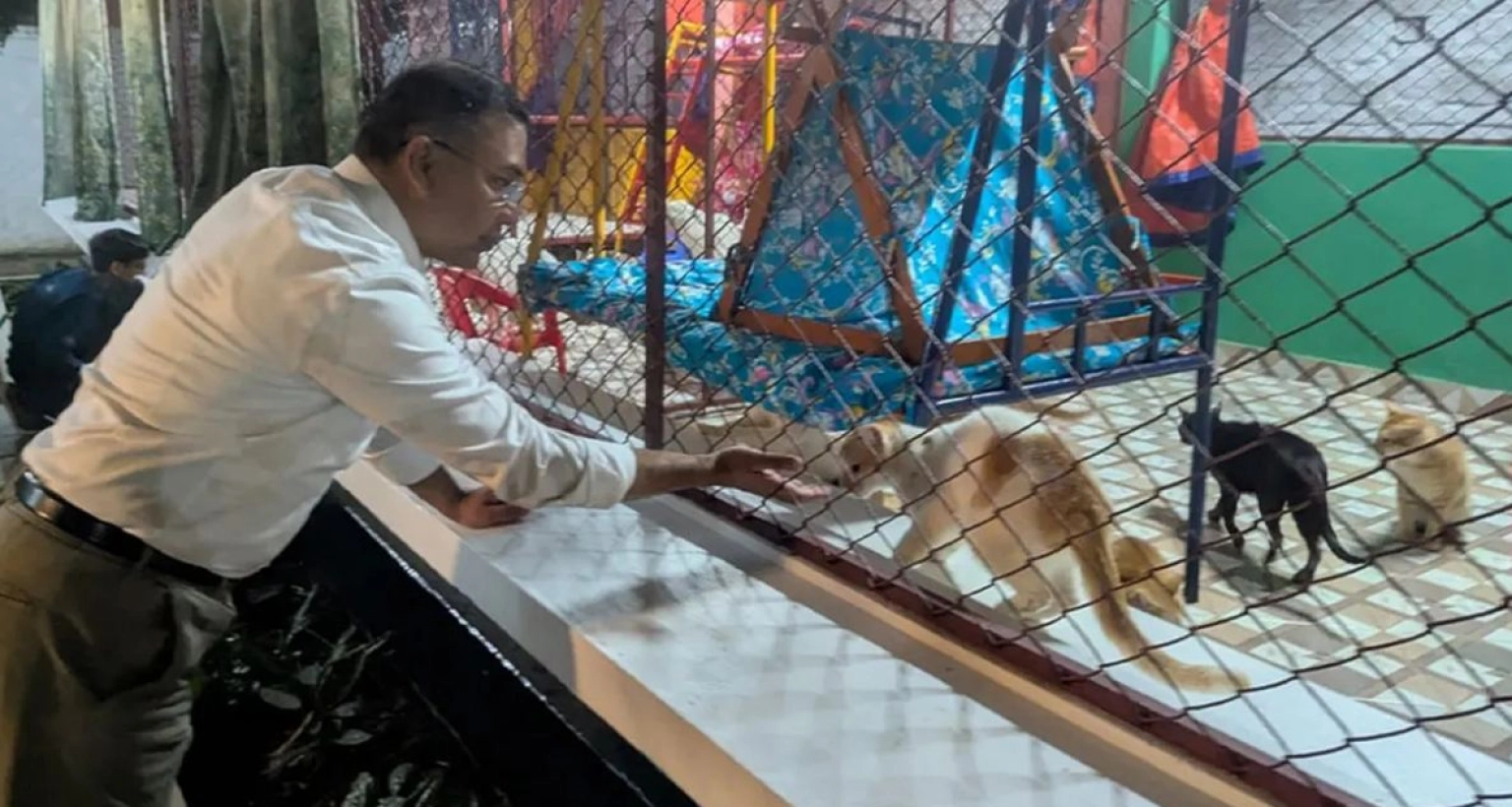 এবার শ্বশুরবাড়িতেও ‘প্রাণিপ্রেমী তারেক রহমান’!