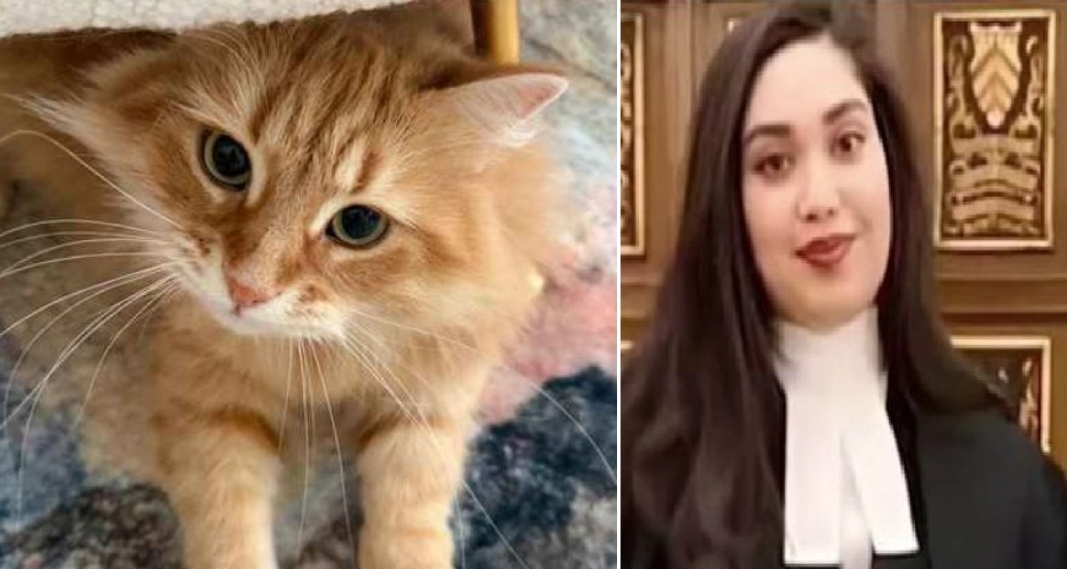 ‘প্রিয় জেবু’ সম্পর্কে এক ‘মজার তথ্য’ দিলেন জাইমা রহমান