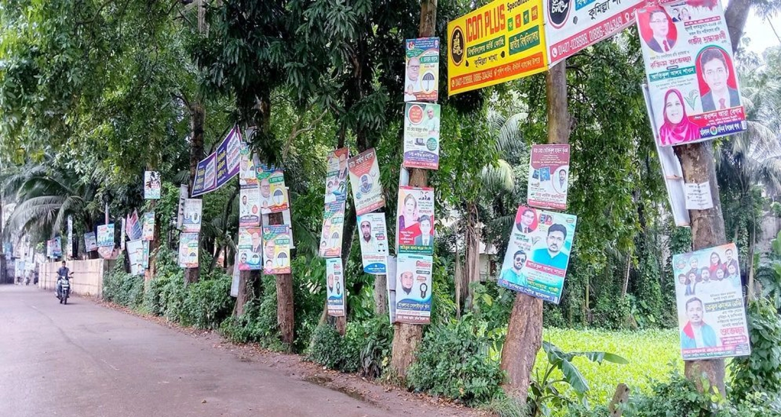 গাছে পেরেক লাগালে জরিমানা ২০ হাজার টাকা