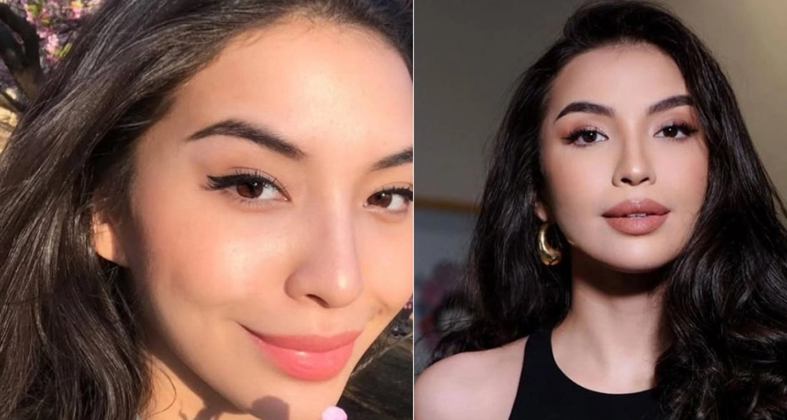 জনপ্রিয়-মডেলকে-জোর-করে-বিয়ে-