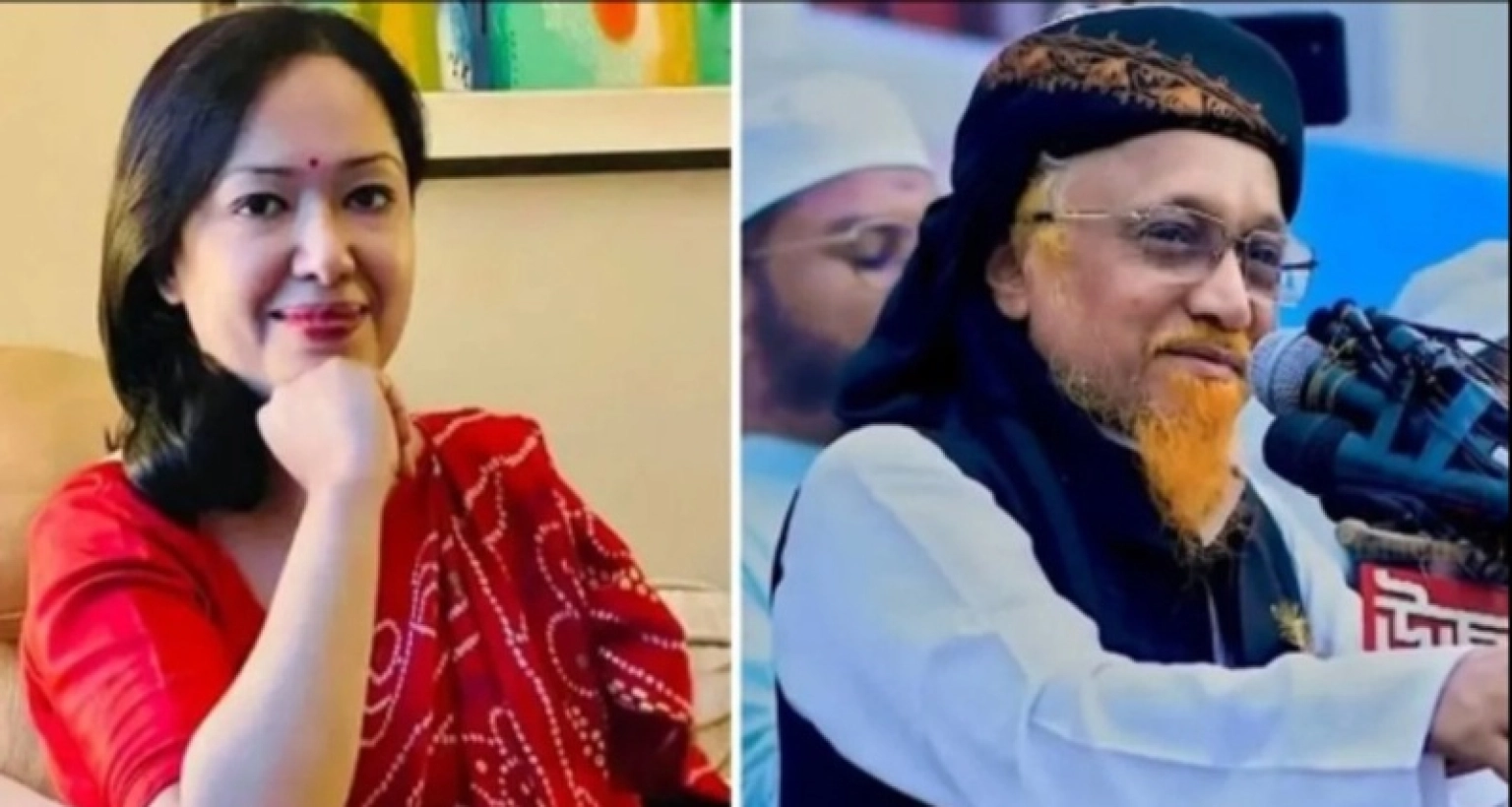 হাঁস-নিয়ে-খেজুরগাছের-সঙ্গে-লড়বেন-ব্যারিস্টার-রুমিন