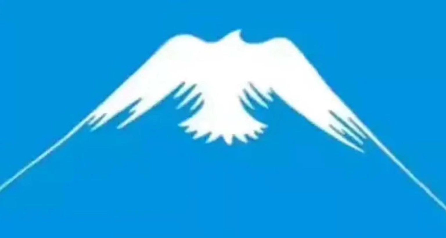 এই ছবিটি বলে দেবে আপনি অলস নাকি পরিশ্রমী!