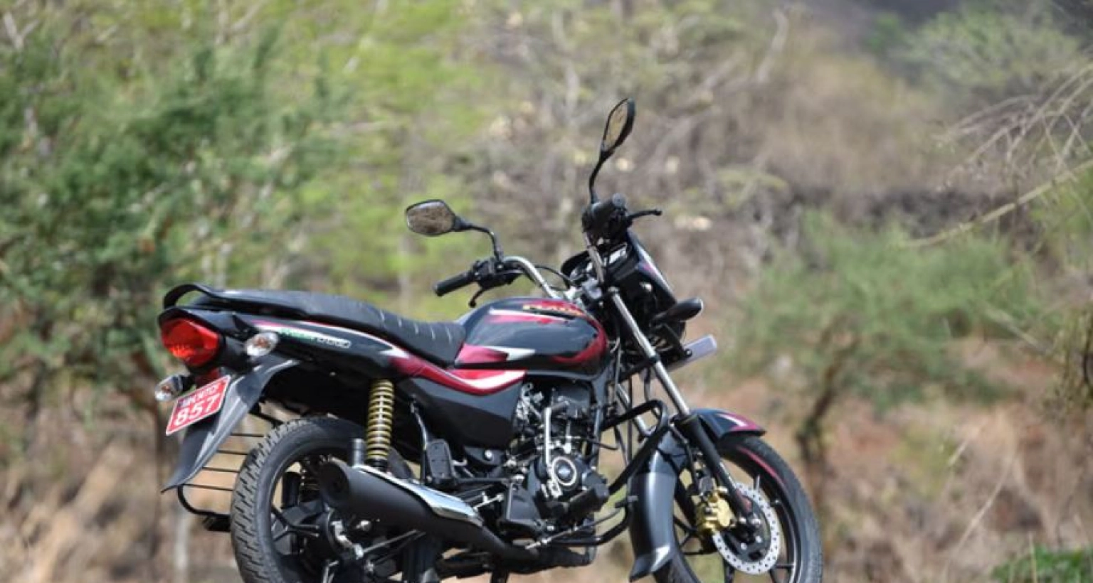 কম বাজেটে ভালো মাইলেজের বাইক Bajaj Platina 110
