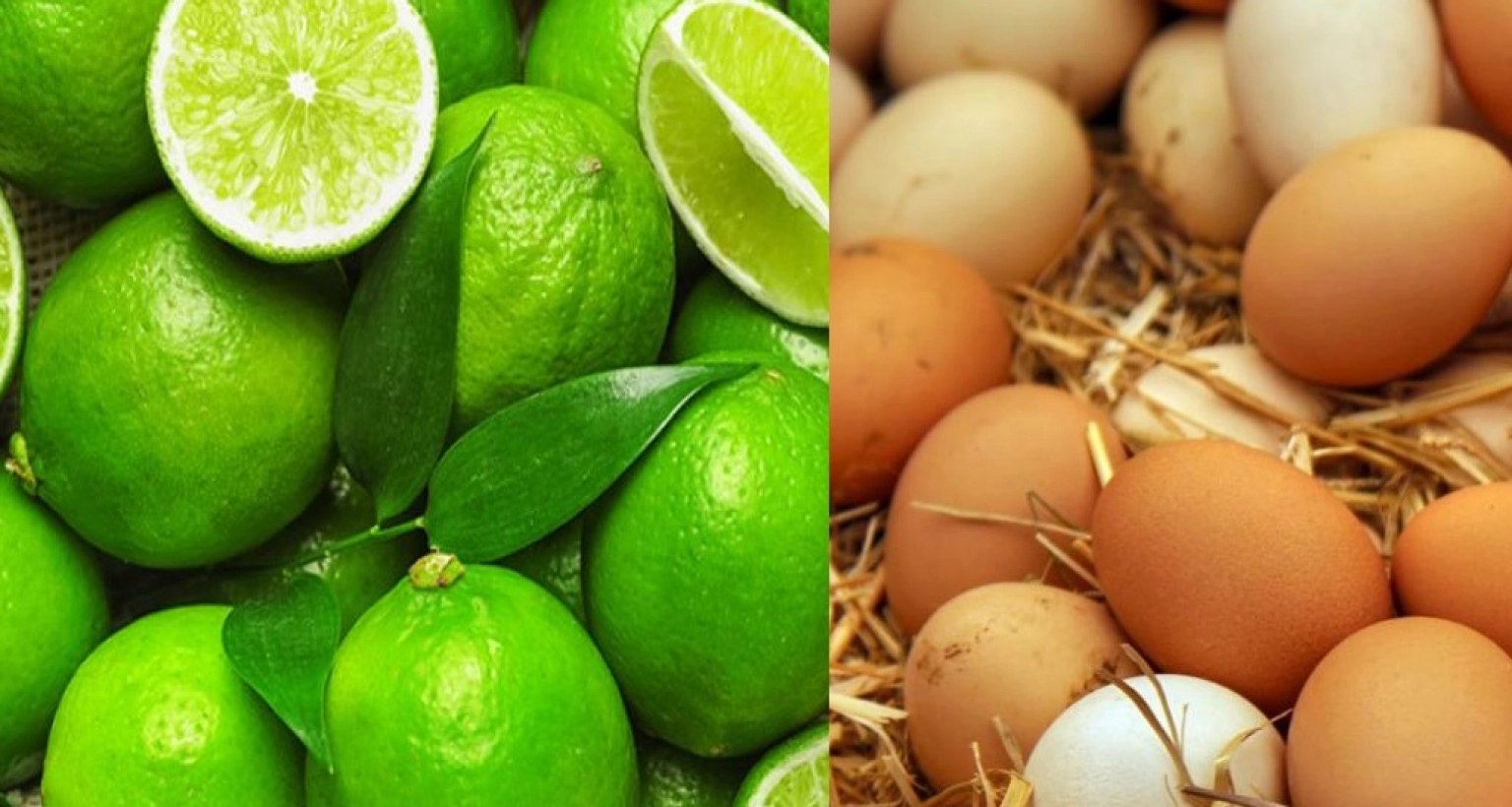 এক ডজন ডিম এক হালি লেবুতে!