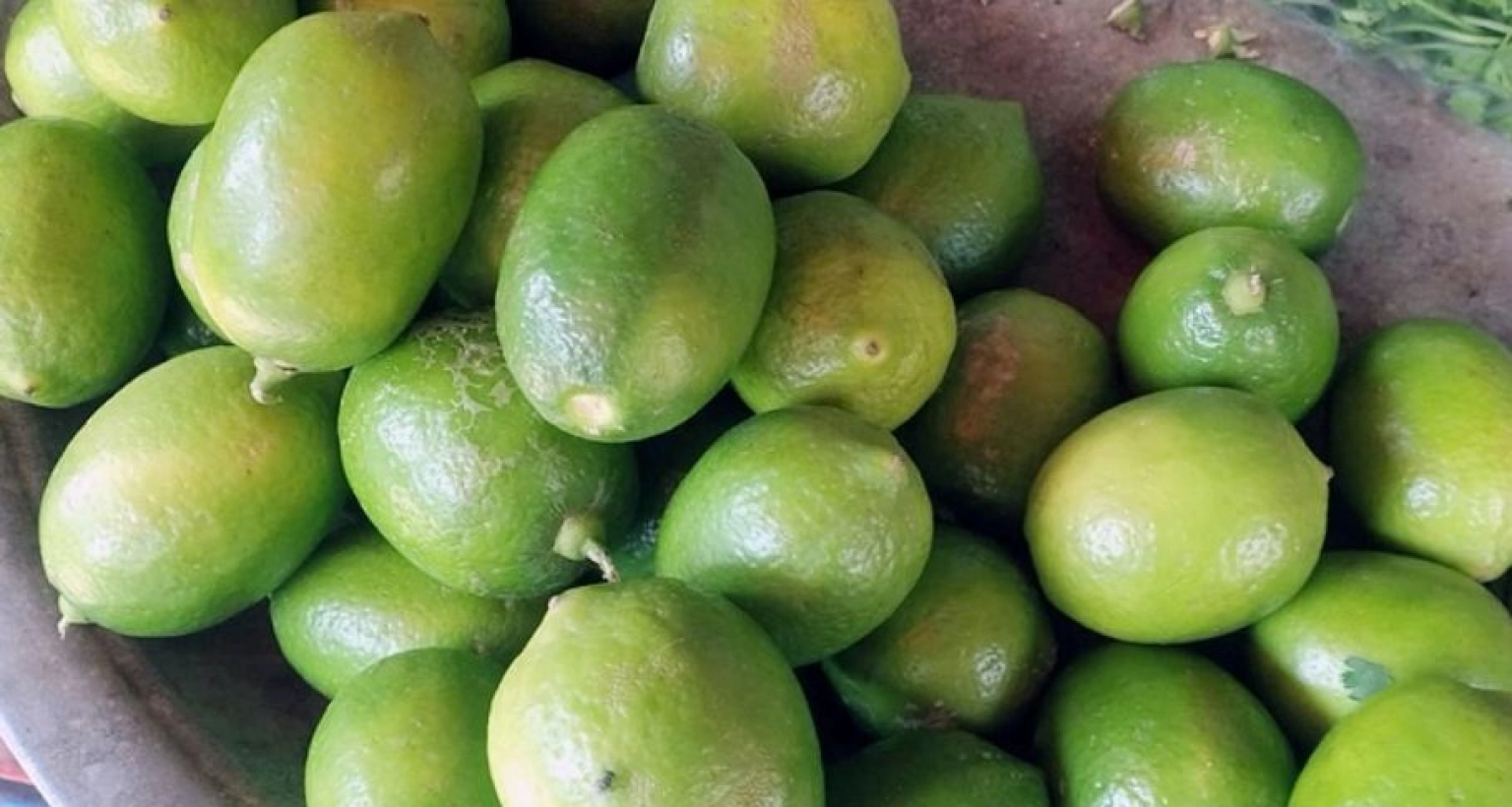 খবরটি ছড়িয়ে পড়তেই দাম কমলো ফল ও লেবুর