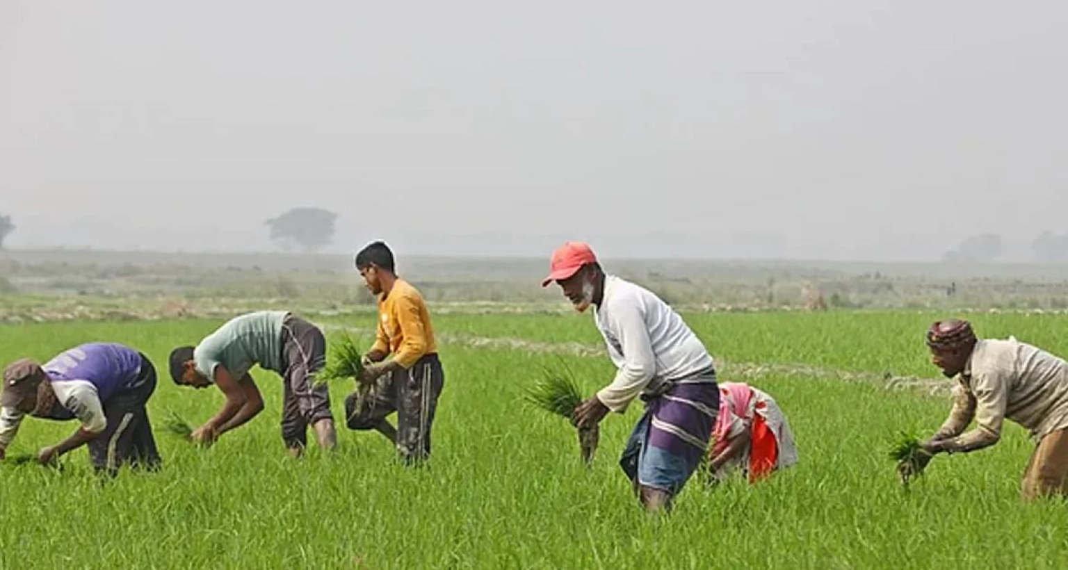 দেশের কৃষকদের জন্য আসছে বড় সুখবর, এবার যে উদ্যোগ
