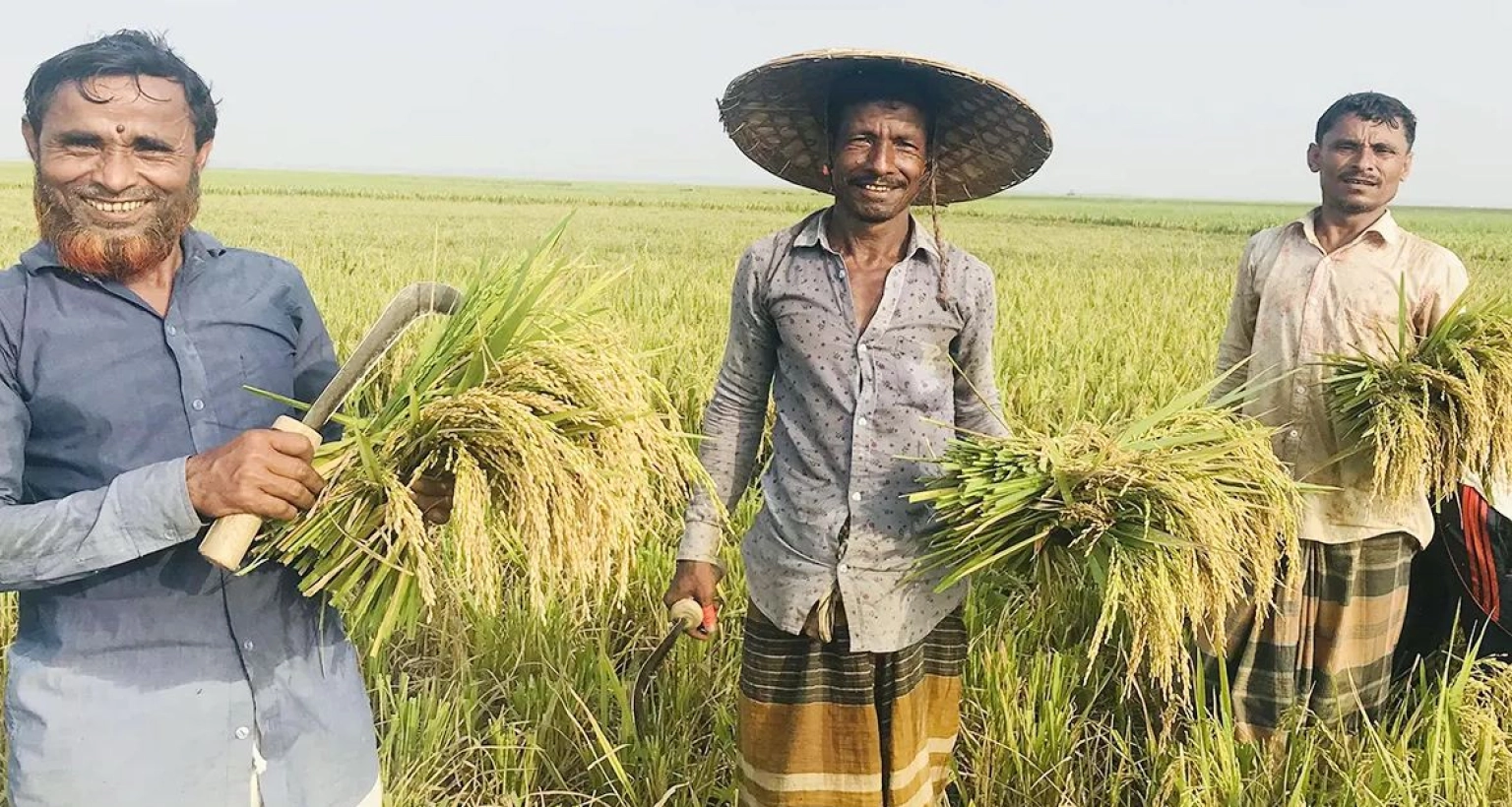 যেভাবে পাবেন ‘কৃষক কার্ড’, যেভাবে আবেদন