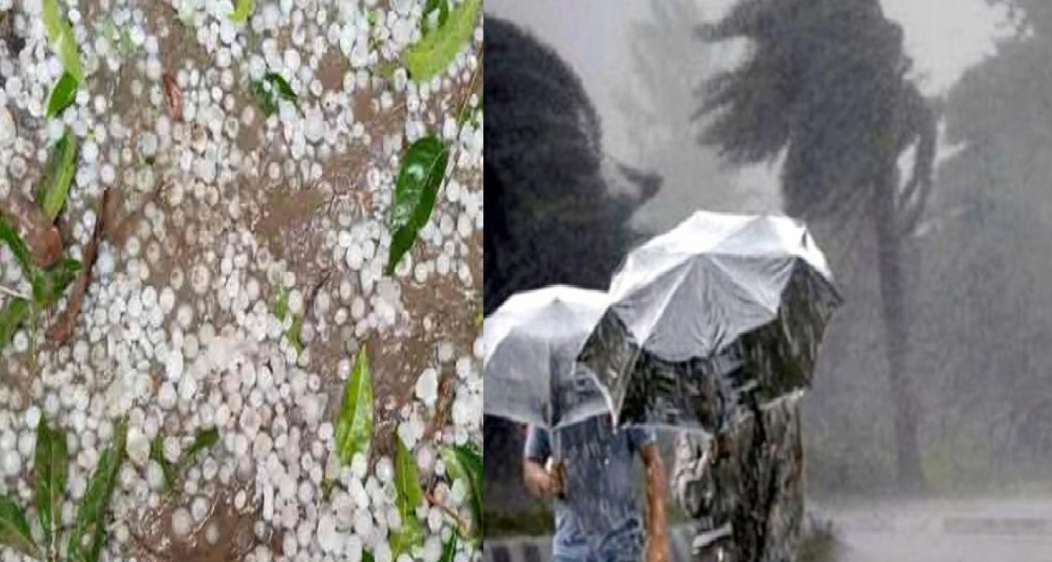 নতুন পূর্বাভাসে টানা ৫ দিন হবে ঝড়-শিলাবৃষ্টি