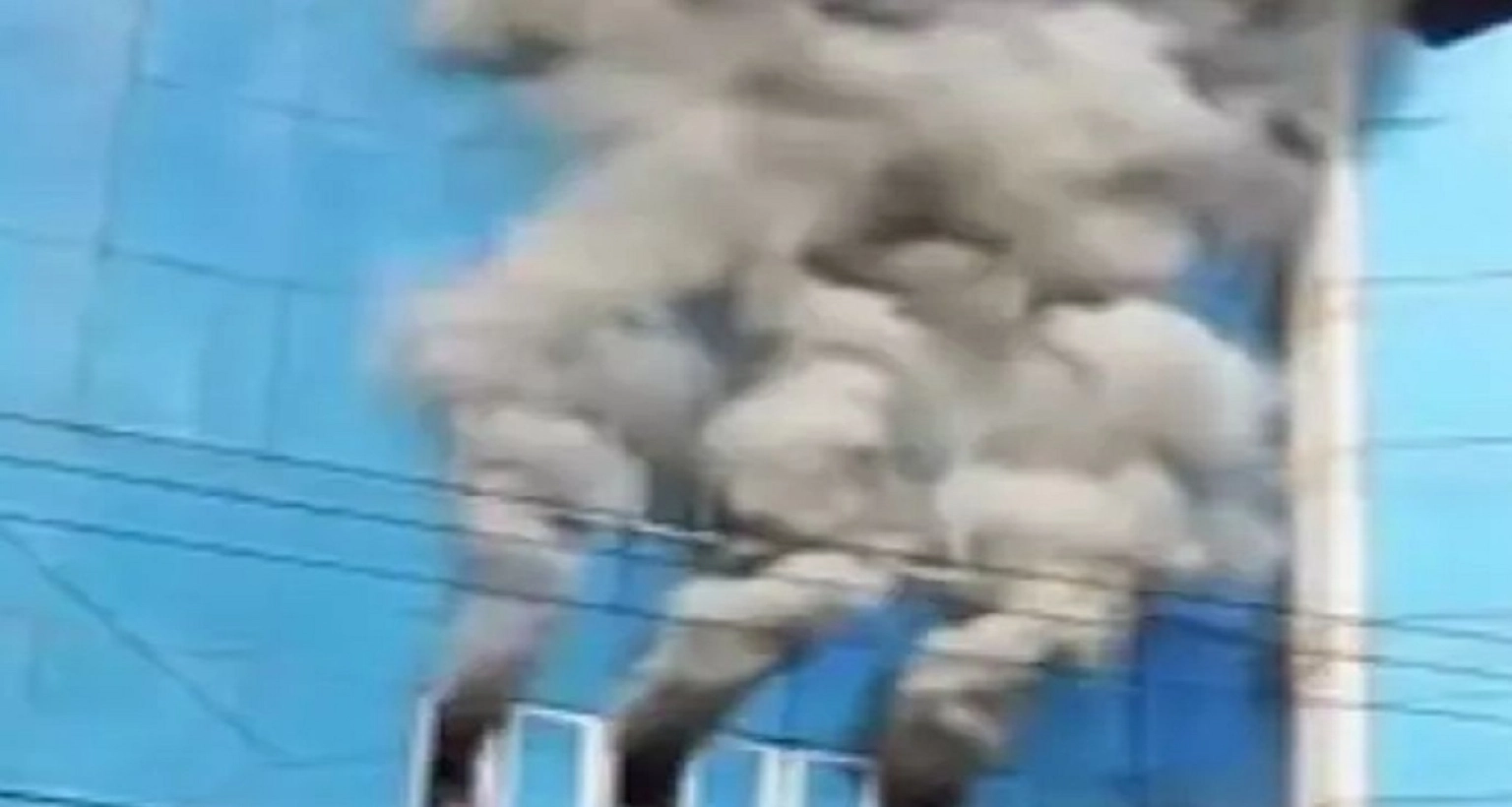 বহুতল মার্কেটে ভয়াবহ আগুন